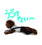 pan_chan1（個別スタンプ：6）