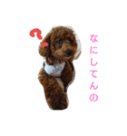pan_chan1（個別スタンプ：7）