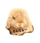 ラウ家のうさぎ達♪（個別スタンプ：6）