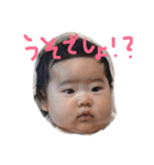 こったんはこぐま（個別スタンプ：2）