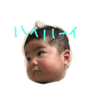 こったんはこぐま（個別スタンプ：5）