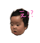 こったんはこぐま（個別スタンプ：6）