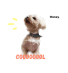 Money's.（個別スタンプ：4）