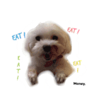 Money's.（個別スタンプ：7）