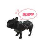 Dakou（個別スタンプ：6）