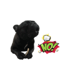 Dakou（個別スタンプ：7）