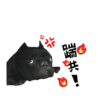 Dakou（個別スタンプ：9）