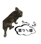 Dakou（個別スタンプ：10）