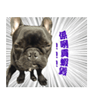 Dakou（個別スタンプ：15）