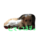 気まぐれdog♪（個別スタンプ：7）