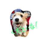 気まぐれdog♪（個別スタンプ：8）