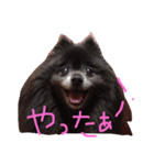Grace's Ordinary Life（個別スタンプ：1）