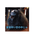 Grace's Ordinary Life（個別スタンプ：2）