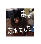 Grace's Ordinary Life（個別スタンプ：3）