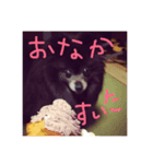 Grace's Ordinary Life（個別スタンプ：5）