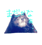 Grace's Ordinary Life（個別スタンプ：6）