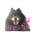 Grace's Ordinary Life（個別スタンプ：8）