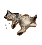 Cat Tang tang（個別スタンプ：9）