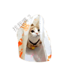 Milk_cat（個別スタンプ：7）