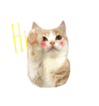 Milk_cat（個別スタンプ：9）