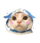 Milk_cat（個別スタンプ：15）