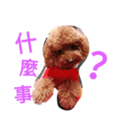 nunu01（個別スタンプ：4）