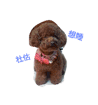 nunu01（個別スタンプ：8）