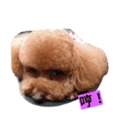 nunu01（個別スタンプ：9）