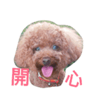 nunu01（個別スタンプ：14）
