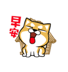 Meow Zhua Zhua - No.16 -（個別スタンプ：9）