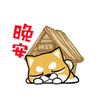 Meow Zhua Zhua - No.16 -（個別スタンプ：10）