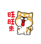 Meow Zhua Zhua - No.16 -（個別スタンプ：12）