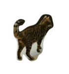 catword（個別スタンプ：7）