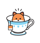 Teaho the teabag fox（個別スタンプ：5）
