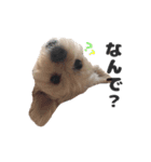 malpoomotiokun（個別スタンプ：7）