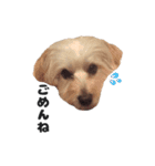 malpoomotiokun（個別スタンプ：8）