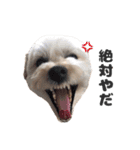 malpoomotiokun（個別スタンプ：10）