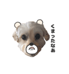 malpoomotiokun（個別スタンプ：12）