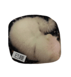 O-King dog face（個別スタンプ：6）