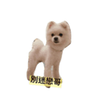O-King dog face（個別スタンプ：8）