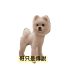 O-King dog face（個別スタンプ：9）