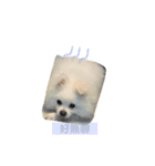 O-King dog face（個別スタンプ：14）