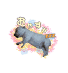ふうにゃんと仲間たち（個別スタンプ：2）