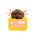 ふうにゃんと仲間たち（個別スタンプ：4）
