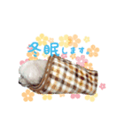 ふうにゃんと仲間たち（個別スタンプ：7）