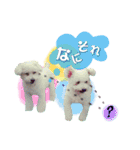 ふうにゃんと仲間たち（個別スタンプ：11）