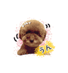 ふうにゃんと仲間たち（個別スタンプ：16）