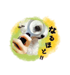 ふうにゃんと仲間たち（個別スタンプ：21）