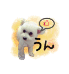 ふうにゃんと仲間たち（個別スタンプ：23）