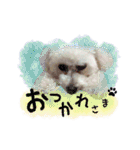 ふうにゃんと仲間たち（個別スタンプ：24）